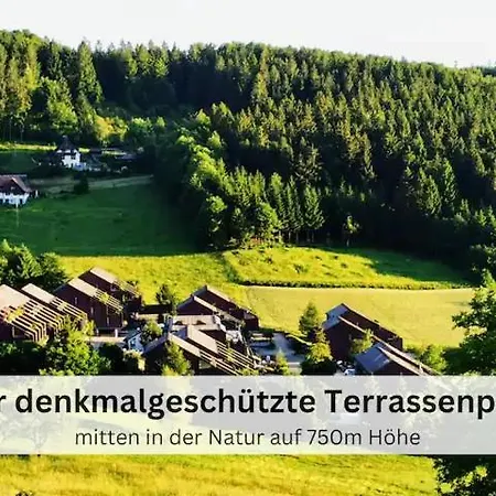 Hirschmusik Schwarzwald Auf 750m Inklusive Hallenbad Апартаменты Засбахвальден